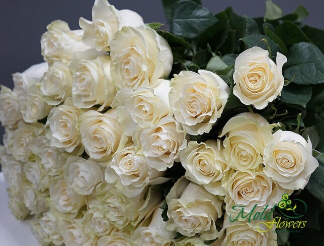 trandafiri albi alb premium olanda 80-90 cm livrare